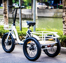 Load image into Gallery viewer, Eunorau 500W Electric Foldable Fat Tire Trike