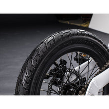 Load image into Gallery viewer, Qualisports Nemo 250-Watt Electric Foldable Bike